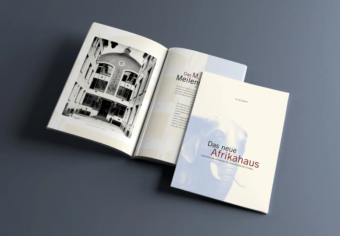 Broschüre Investoren